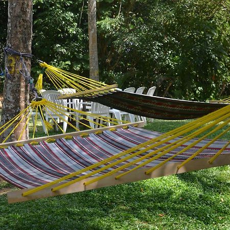 Jungle Beach Hostel Unawatuna Buitenkant foto
